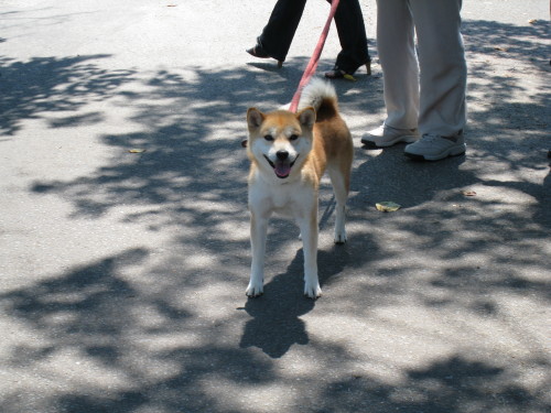 暑い日のドライブ