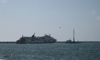 }ނł͂Ԃ̑҂ł 	YouTube>2{ ->摜>59 