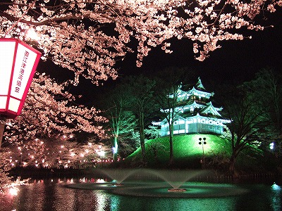 高田城夜桜