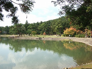浄土庭園の大泉が池