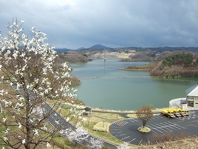 20110425 takisakura4