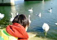 NEC_00491.JPG
