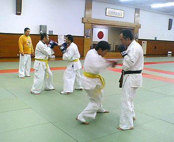 toyama karate 44