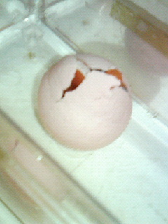 200709180724000.jpg