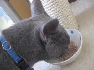 もぐもぐもぐ。