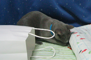 枕の下になんかある？