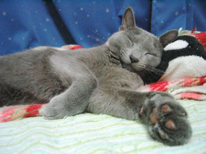 素晴らしいセービング～～！