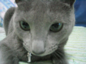 近づきすぎです。