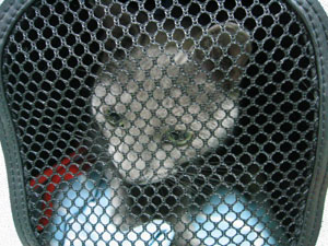 暴れてやる～！