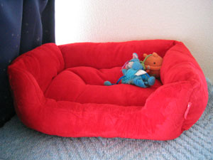 じゃじゃーん。