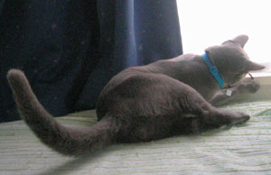 輪ゴムに夢中！