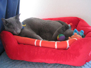 ちょっぴり緊張？