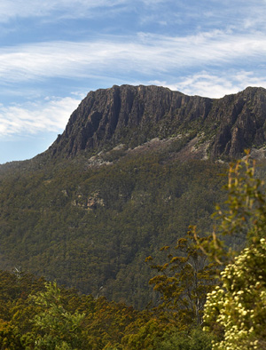 農場山.jpg