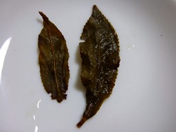 蜜香烏龍茶底