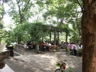 龍井の茶農家の庭