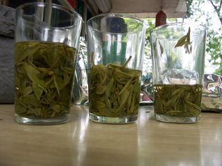 龍井茶比較