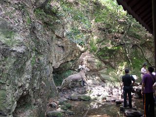 虎ホウ泉の水が染み出る崖