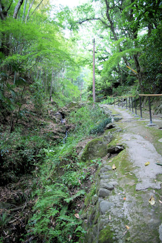 乙女峠遊歩道