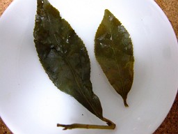 上園茶荘大禹嶺茶底.JPG