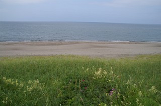 原生花園からオホーツクを見る