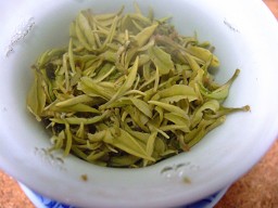 莫干黄芽茶葉開いたところ