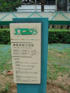 朝陽公園のお茶の作り方案内板