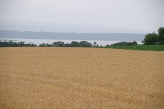 小麦畑と網走湖