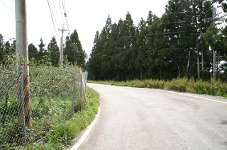 福寿山農場の道