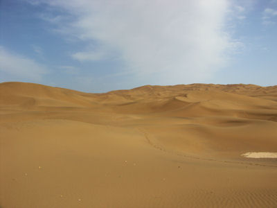 沙漠１
