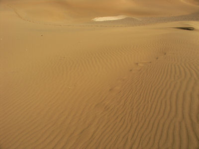 沙漠３