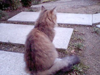 どこ見てるの？