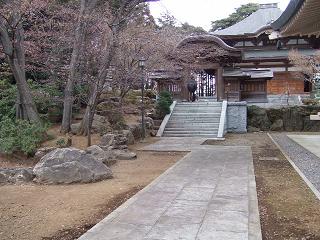 豪徳寺