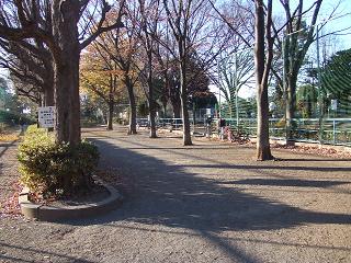 冬の羽根木公園