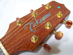 takamine