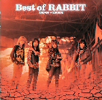 rabbit_best