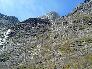 ニュージーランド 101s-kotobuki.jpg