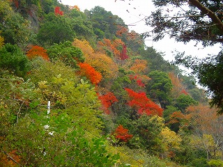 赤目四十八滝 009s-kotobuki.jpg