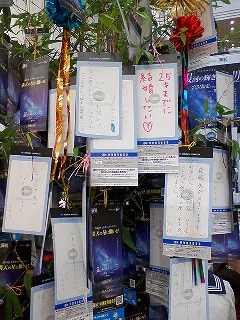 短冊