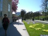 2007_0419画像0017.JPG