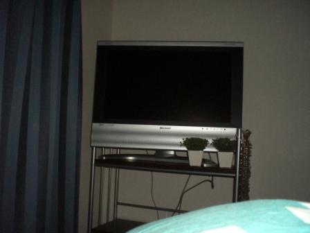 アクオス君も見てくれよ