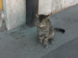 2007_0419画像0061.JPG