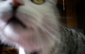 0405-1.jpg