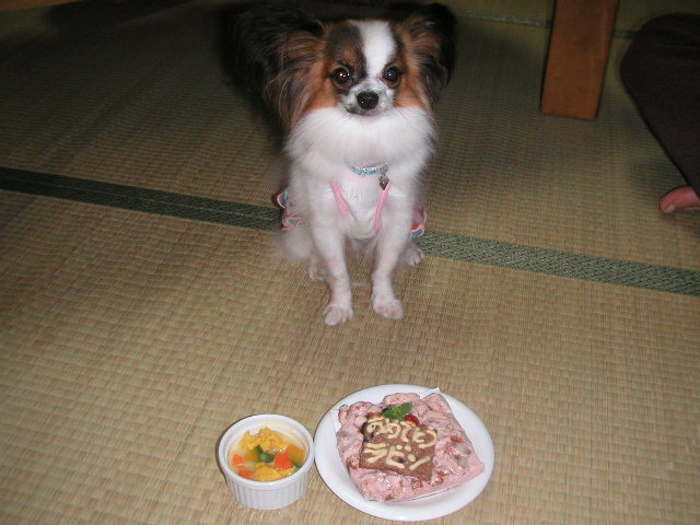 Ｈａｐｐｙ　Ｂｉｒｔｈｄａｙ