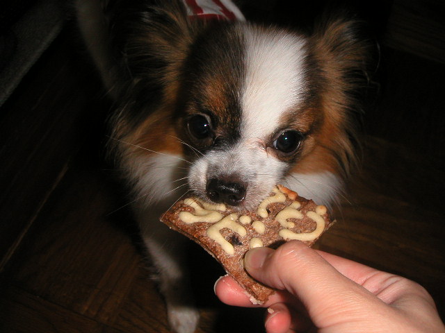 ぜんぶあたちのだも～ん！