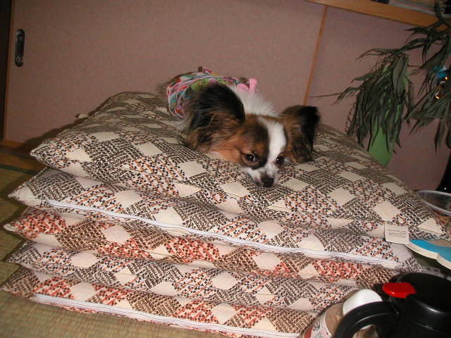 お腹いっぱいだじょ