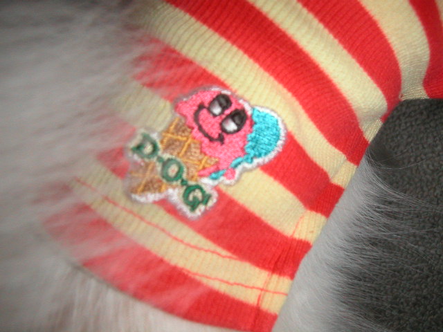 かわいいﾛｺﾞ