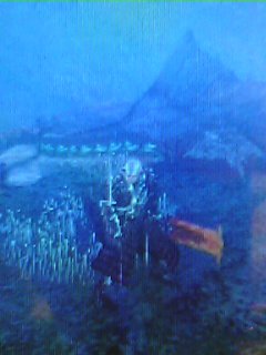 ゲリョス討伐!!