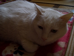 画像 2364.jpg
