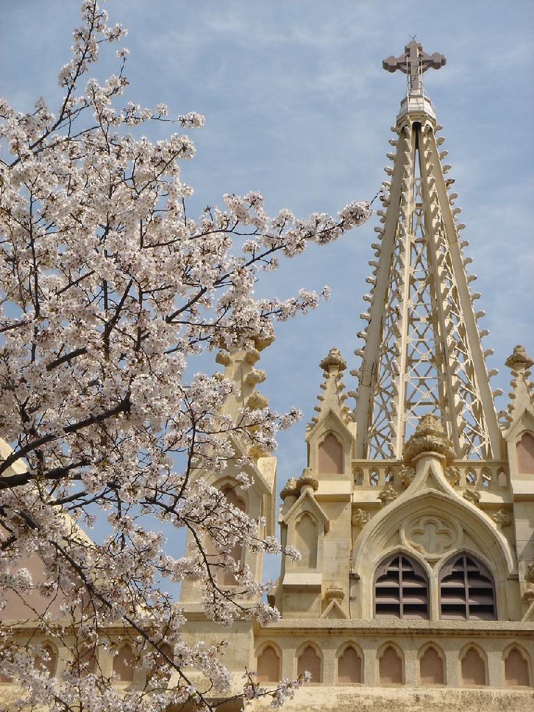 コピー ～ 画像 608.jpg