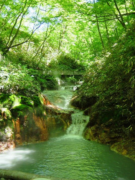 初夏の登別温泉（2010.6）・3.JPG